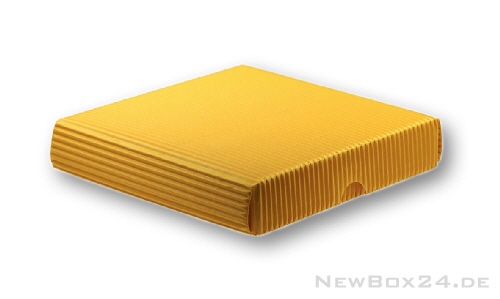 St&uuml;lpdeckelverpackung 21