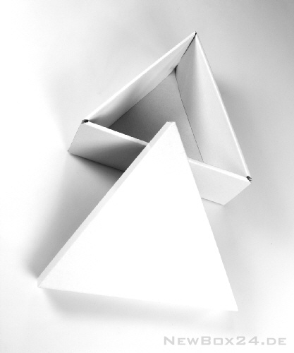 St&uuml;lpdeckelverpackung 414 Triangel - Gr&ouml;&szlig;e 01